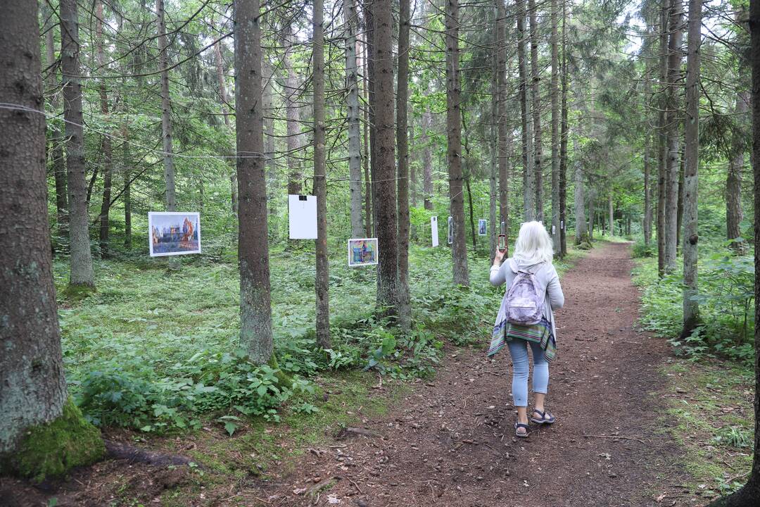 Panemunės festivalis "Pojūčių šilas"