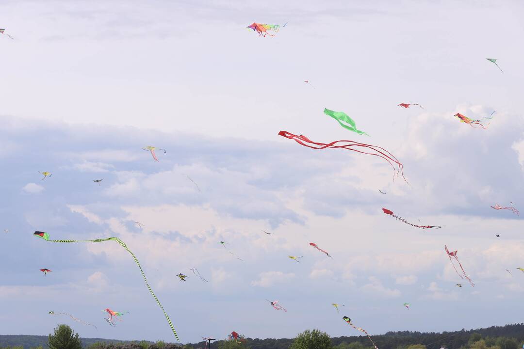 Zapyškio aitvarų festivalis 2022