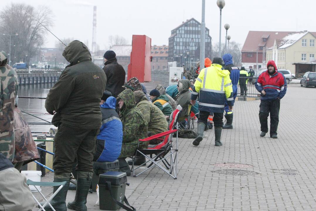 Stintų žvejyba Klaipėdoje