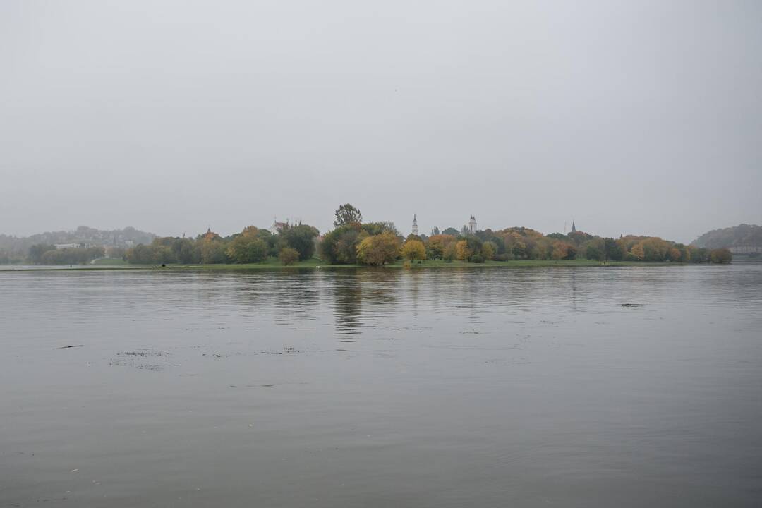 Patvinęs Nemunas