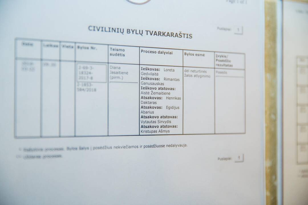 Milijoninio ieškinio H. Daktarui nagrinėjimas