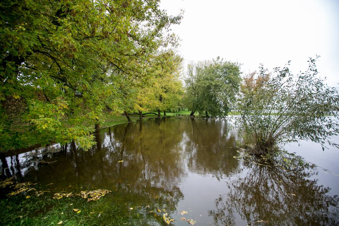 Patvinęs Nemunas