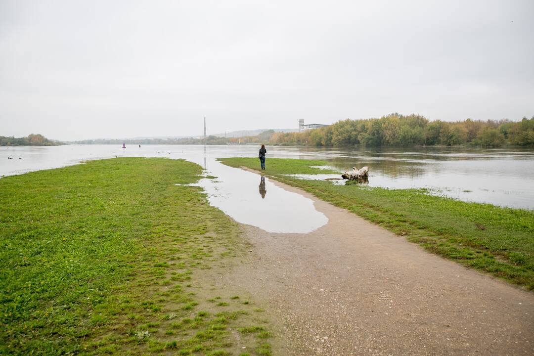 Patvinęs Nemunas