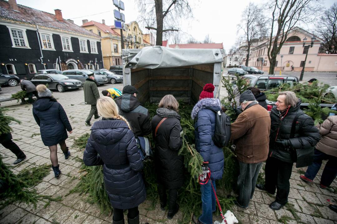  Akcija "Parsinešk Kalėdas į savo namus"