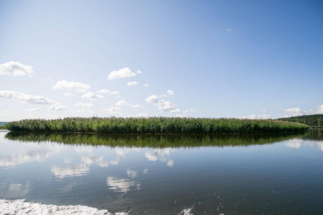 „Robinzonų sala“ Kauno mariose