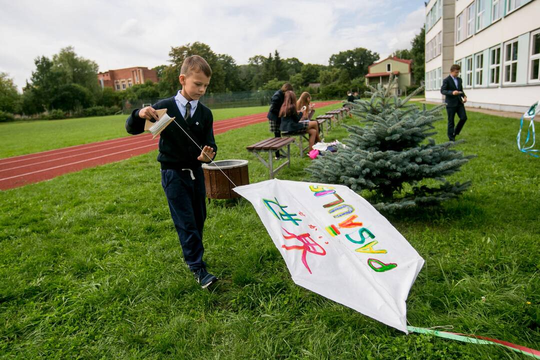 Japoniškų aitvarų festivalis