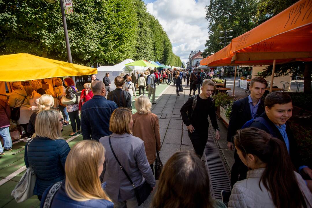 “Kauno mugė – Ruduo 2017" 