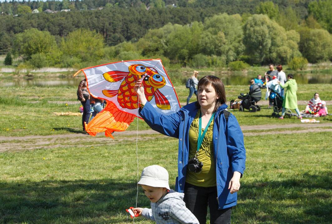 Aitvarų šventė Zapyškyje 2015