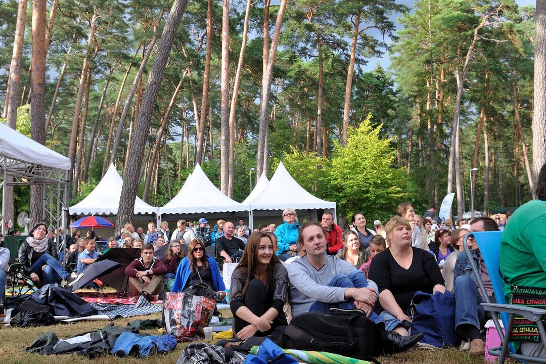Kulautuvoje – jubiliejinė „Akacijų alėja“