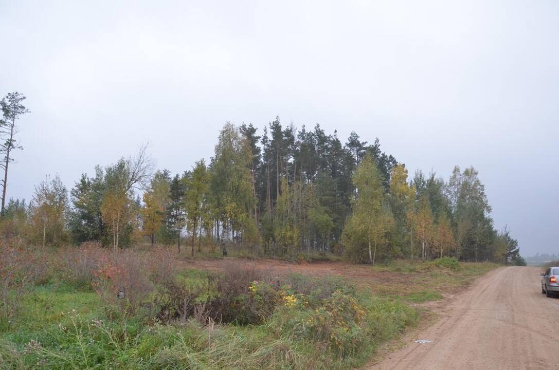 Žagarės regioniniame parke - prieš sutvarkymą