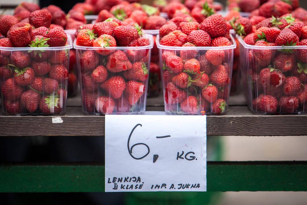 Stoties turguje prasidėjo braškių sezonas