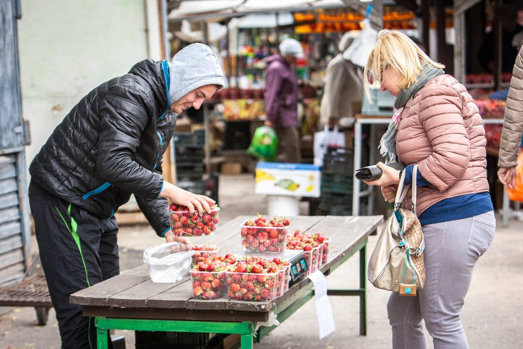 Stoties turguje prasidėjo braškių sezonas