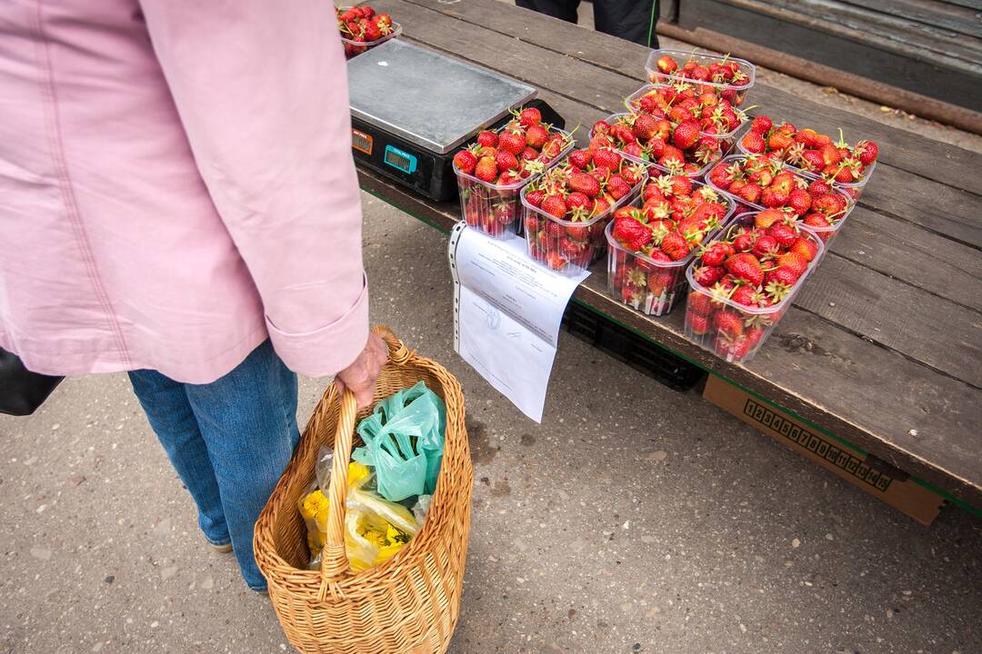 Stoties turguje prasidėjo braškių sezonas