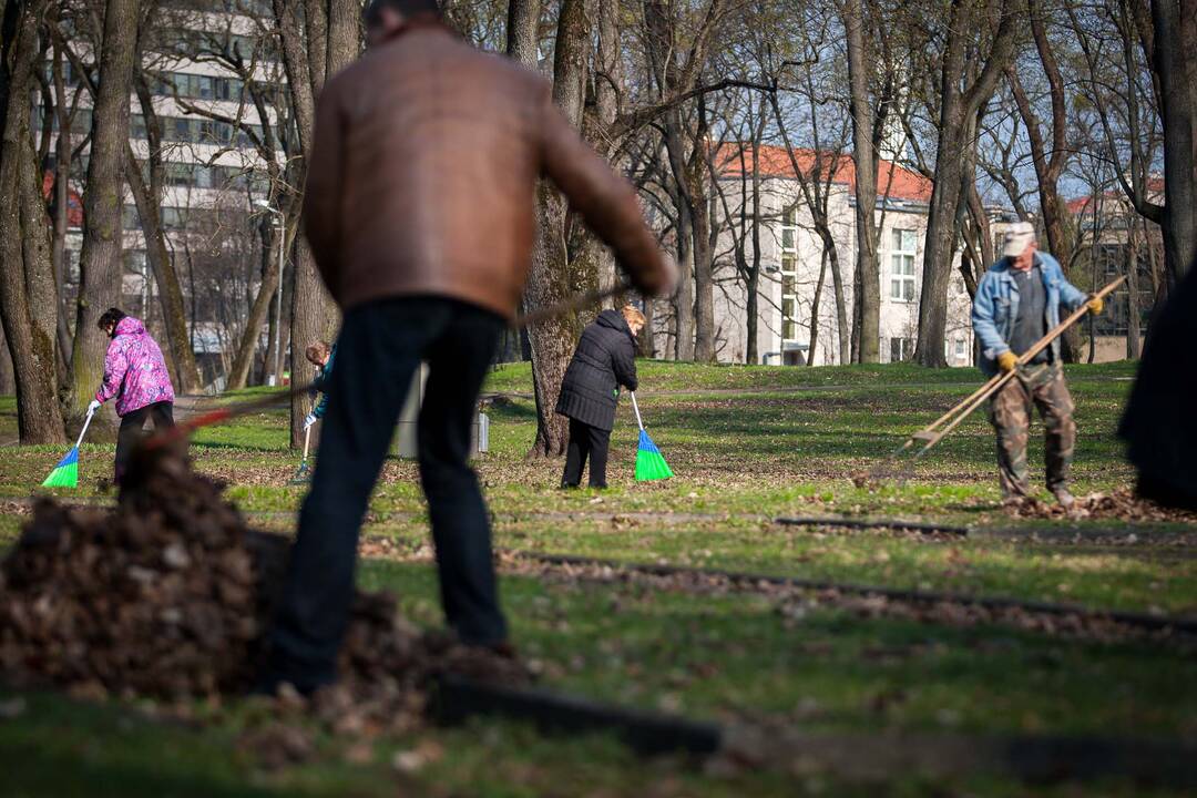 Pavasarinė talka Kaune