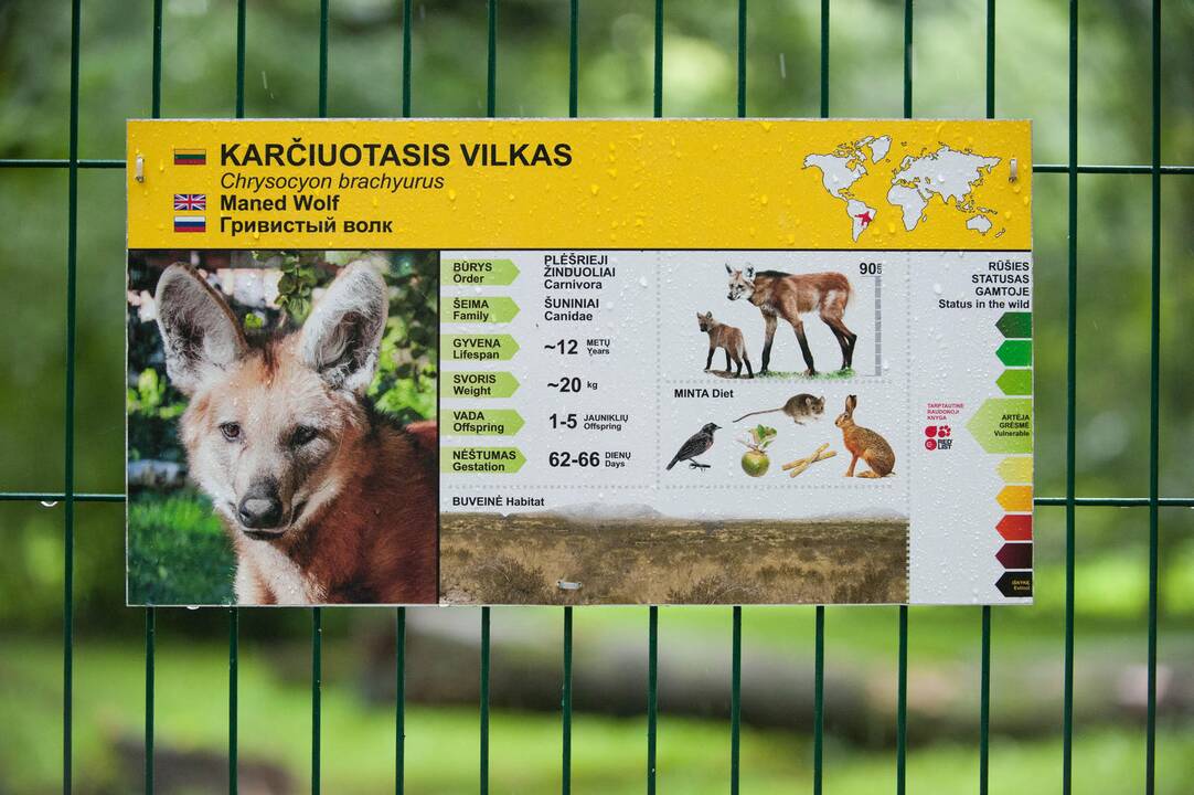 Koncertas zoologijos sode