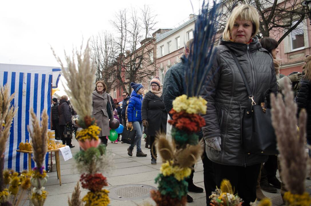 Mugės žvaigždė – avytė Kalėdytė