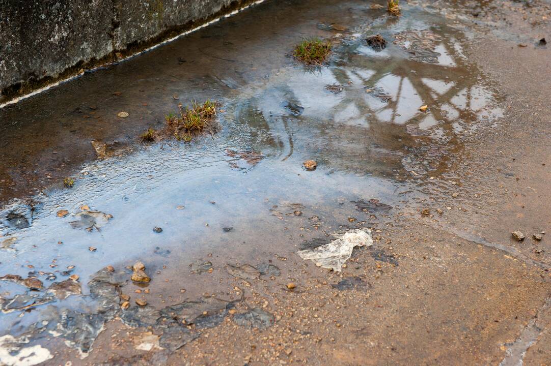 Į Nemuną tekantys teršalai