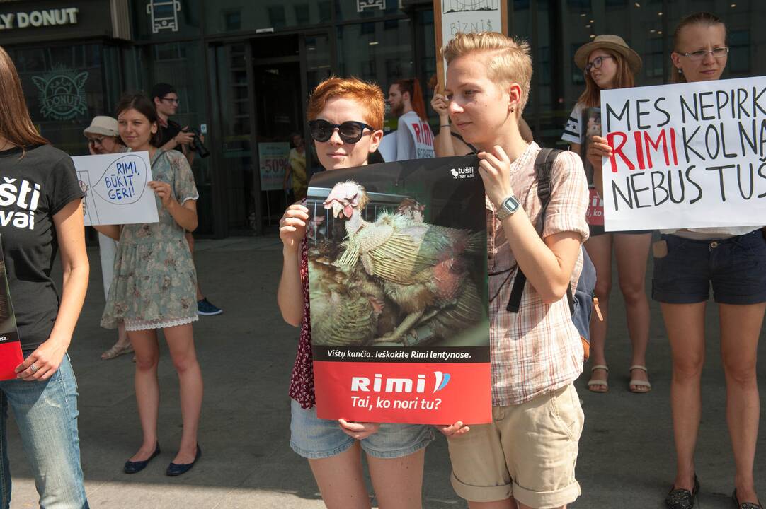 Vištų gynėjų protestas Kaune