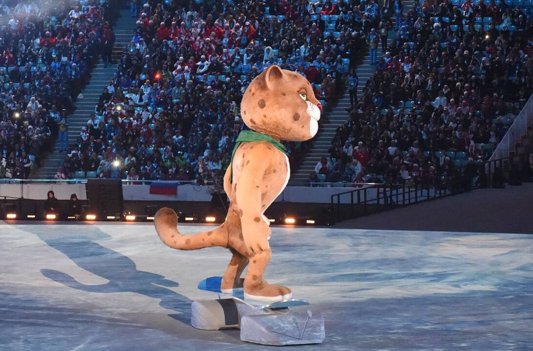 Sočio olimpinių žaidynių atidarymo ceremonija