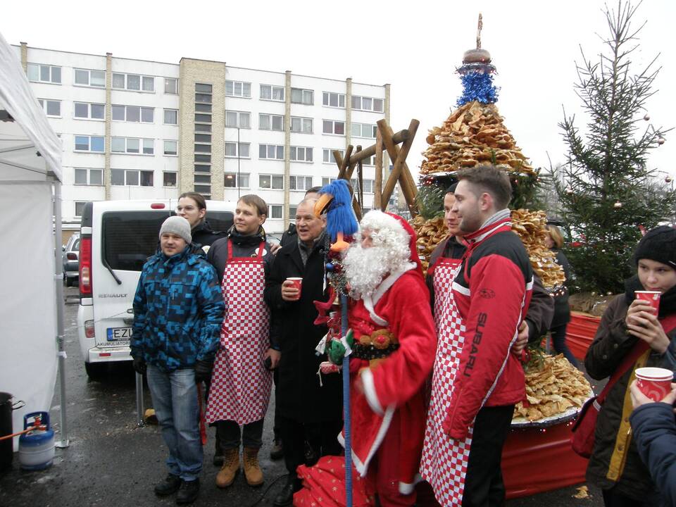 Trijų metrų žagarėlių eglutė