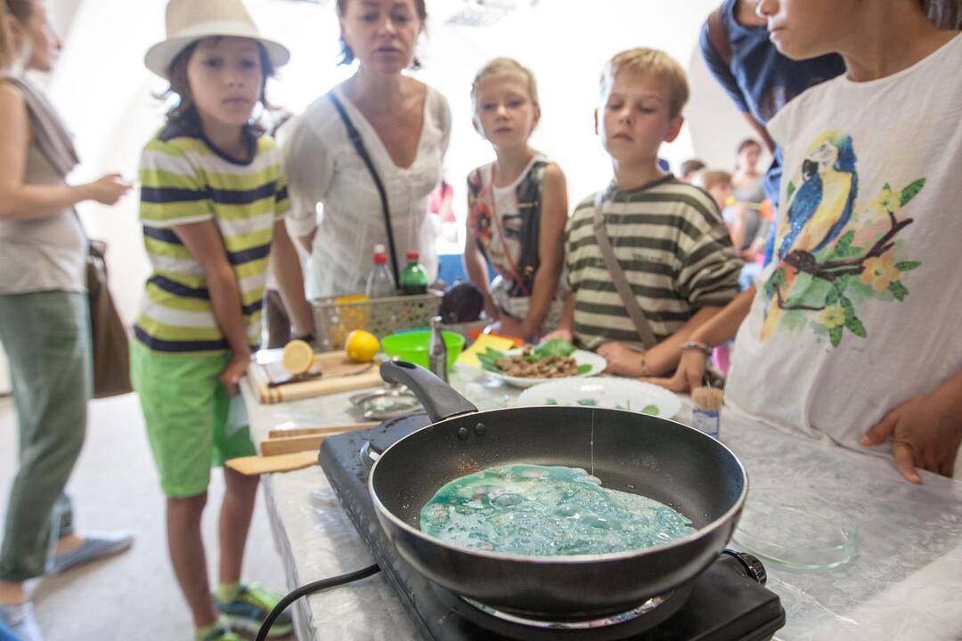 Mokslo festivalis "Erdvėlaivis žemė"