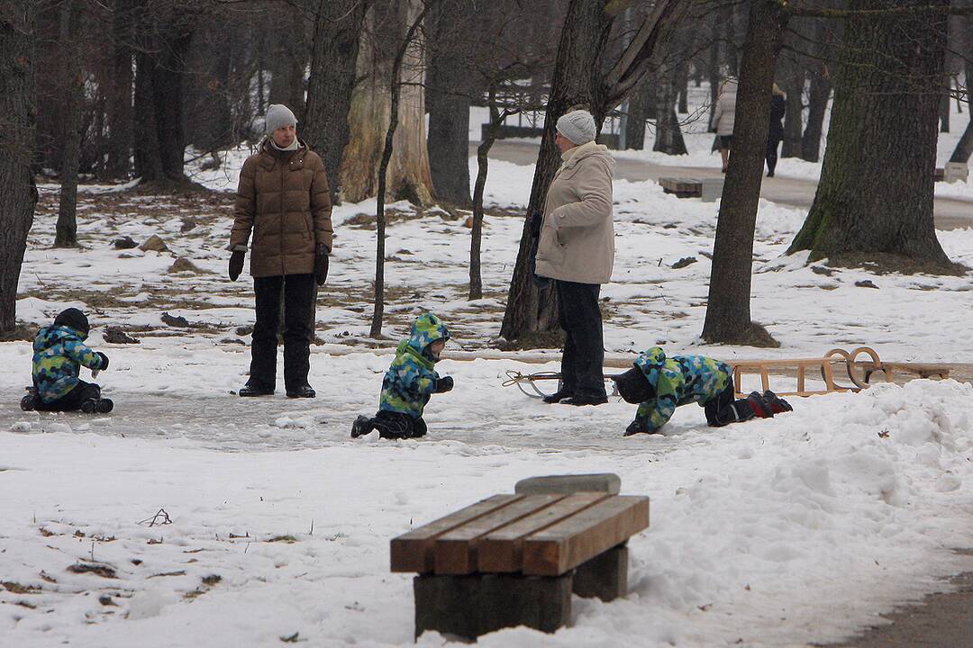 Kauno parkai žiemą