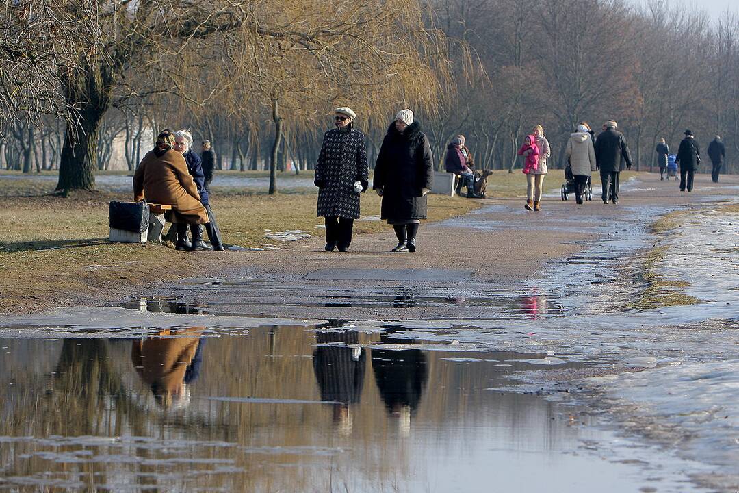 Pavasarinės balos Kauno gatvėse