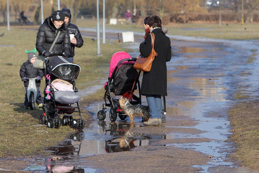 Pavasarinės balos Kauno gatvėse