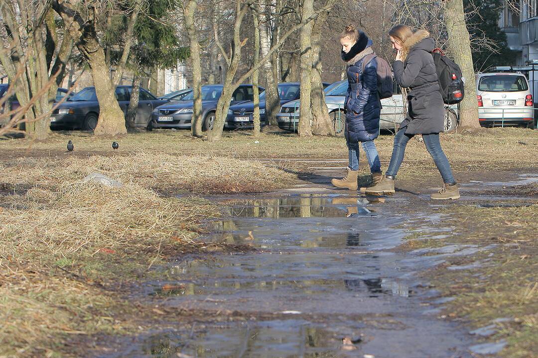 Pavasarinės balos Kauno gatvėse