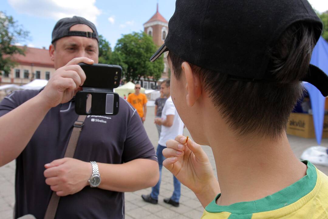 Festivalis "Skanaus" tęsiasi