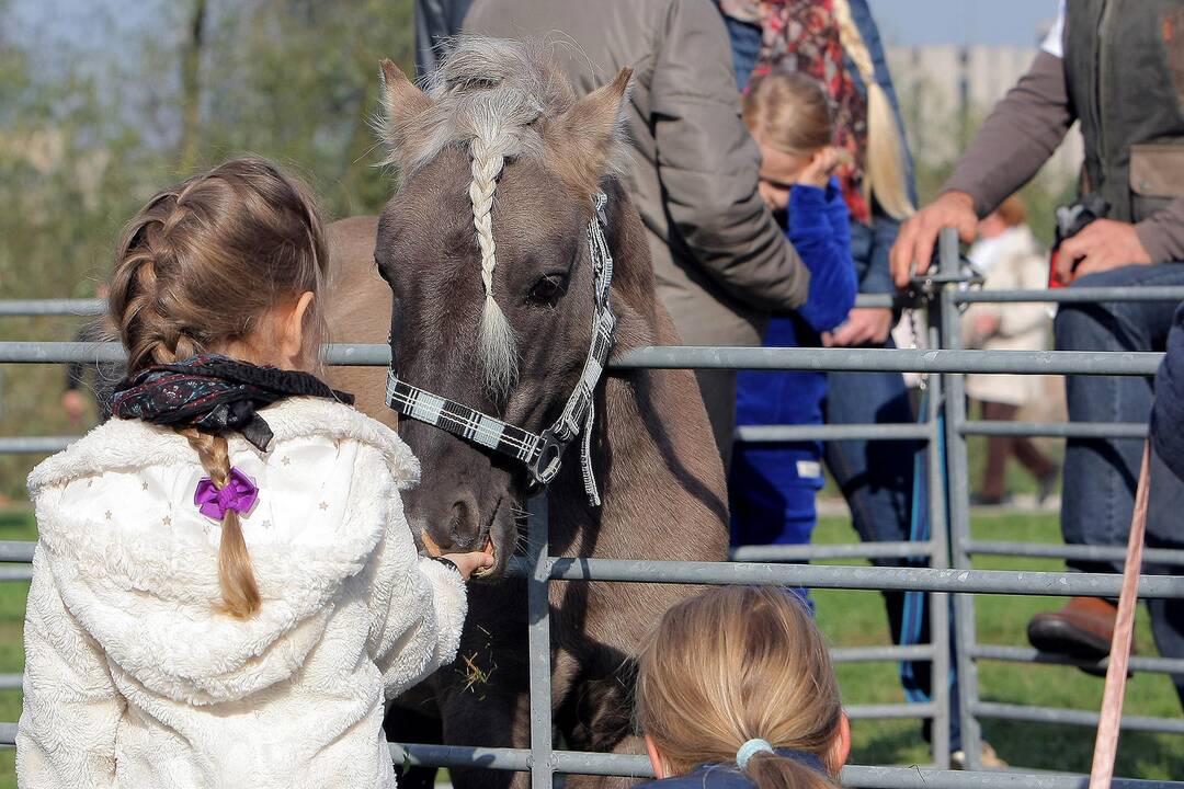 Kauniečiai gyvūnų globėjo šv. Pranciškaus dieną paminėjo Senamiestyje.