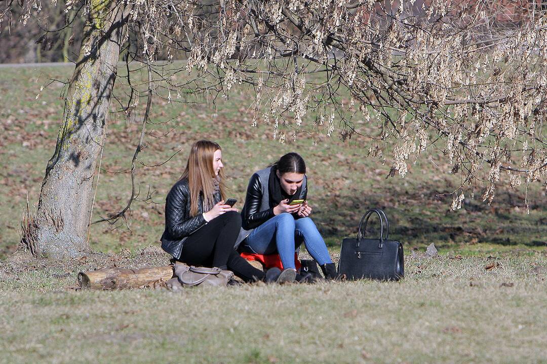 Į lauką – gaudyti saulės spindulių