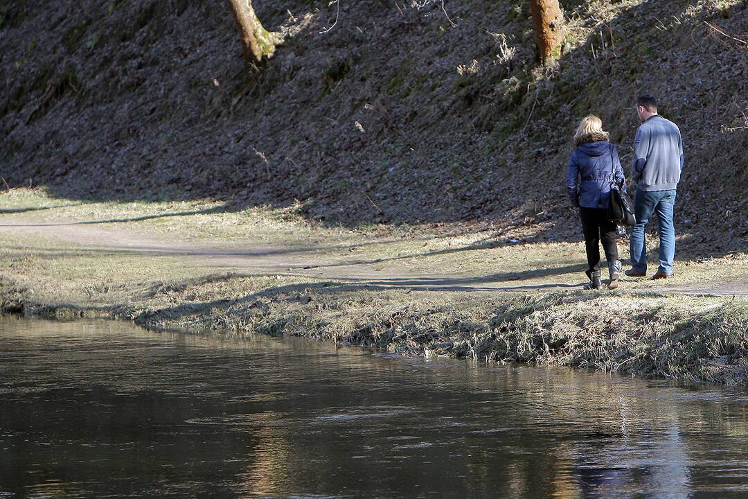 Į lauką – gaudyti saulės spindulių