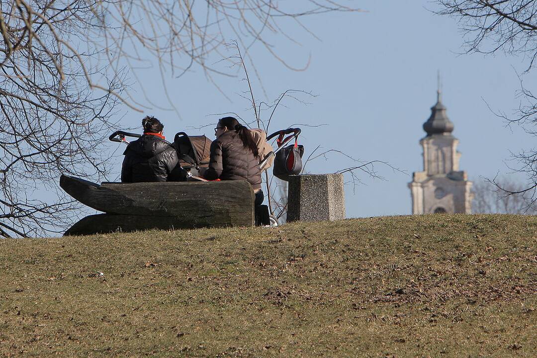 Į lauką – gaudyti saulės spindulių