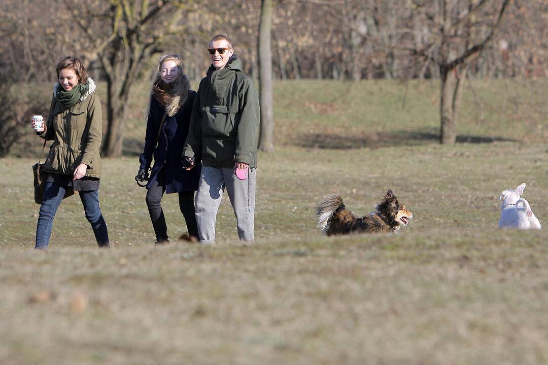 Į lauką – gaudyti saulės spindulių