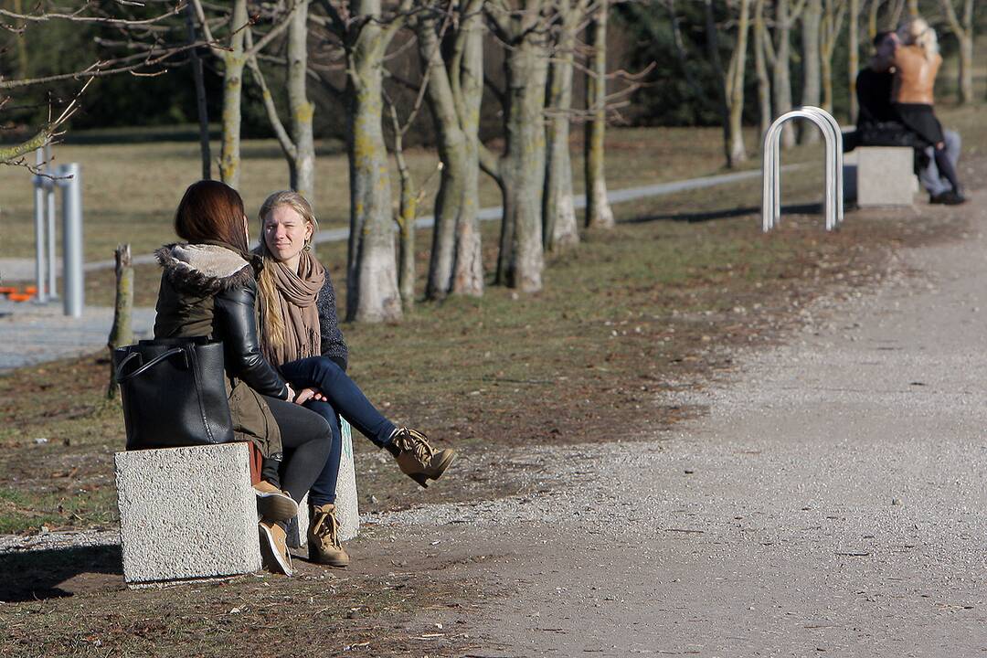 Į lauką – gaudyti saulės spindulių