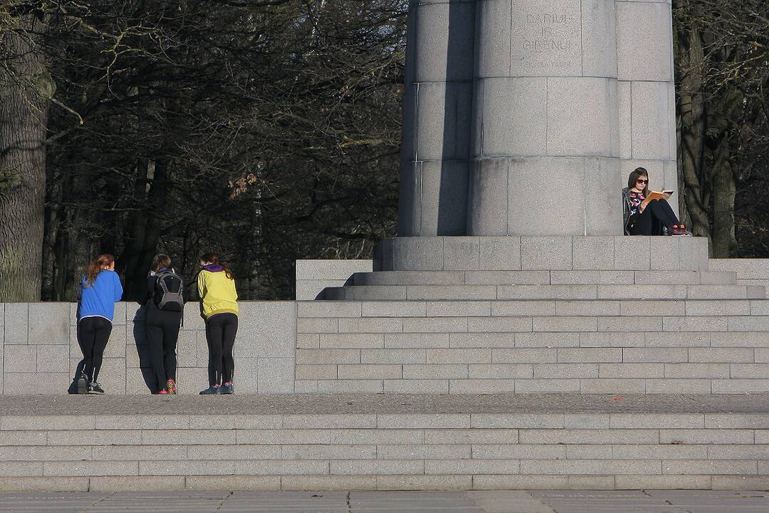 Į lauką – gaudyti saulės spindulių