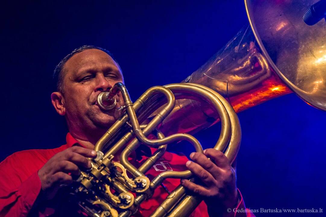 Fanfare de Transylvanie