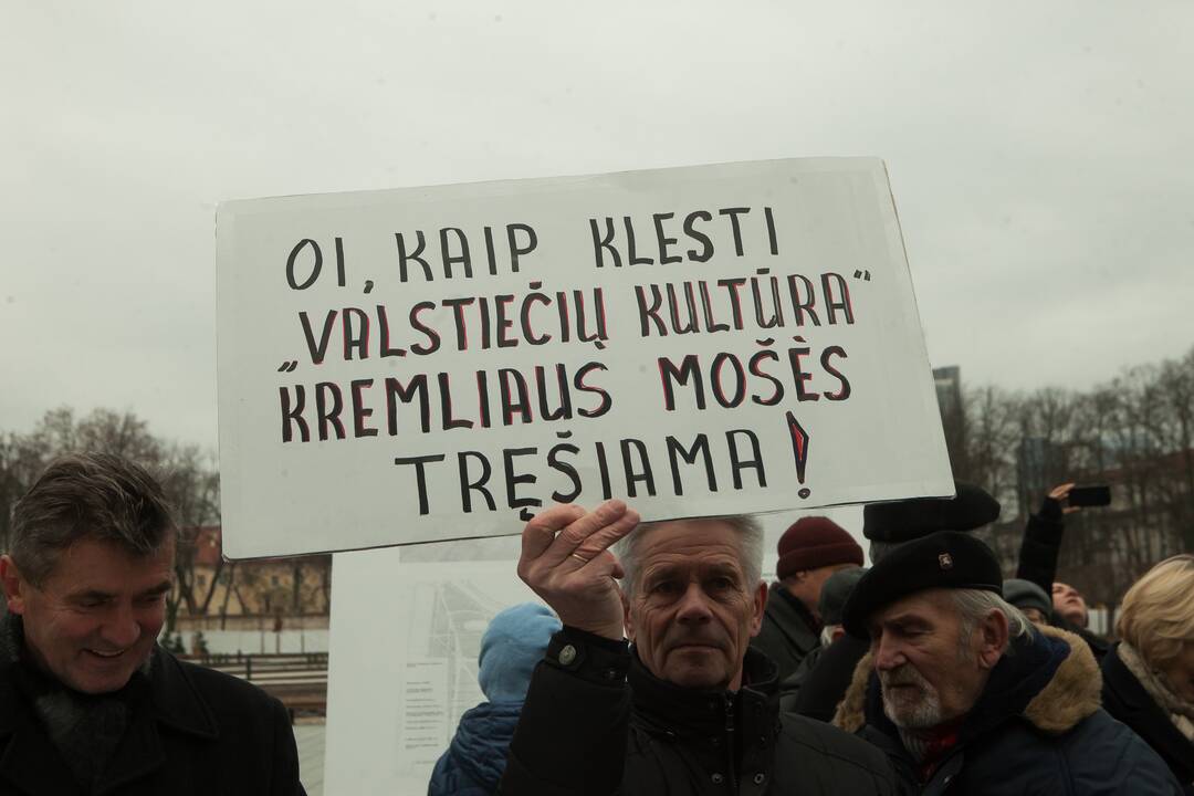 Protesto akcija dėl Vyčio paminklo