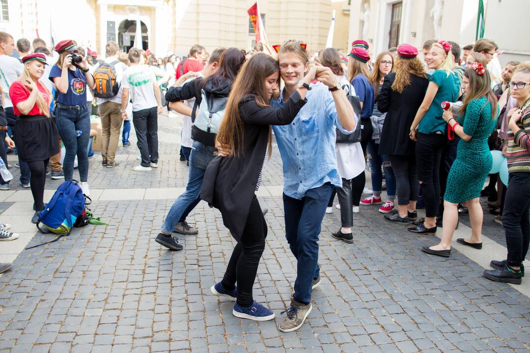 Šventinė VU dėstytojų ir studentų eisena