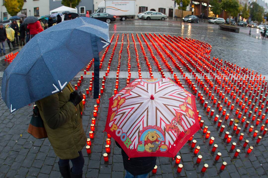 Akcija organų donorams Vilniuje