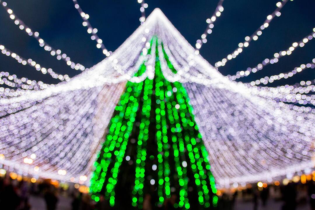 Puošnioji sostinės Kalėdų žaliaskarė