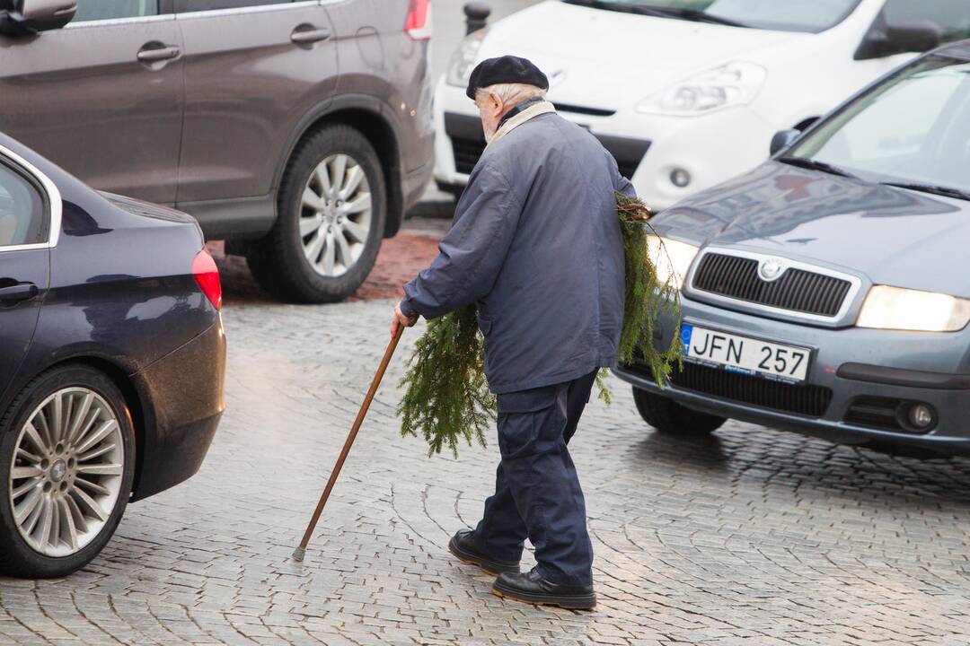 Vilniečiai graibstė eglišakius