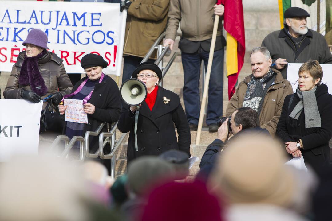 Pensininkų mitingas prie Seimo