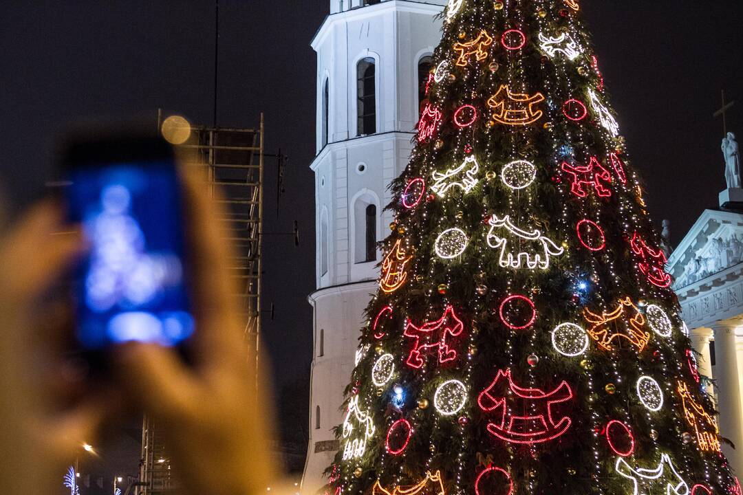 Vilniuje Katedros aikštėje įžiebta Lietuvos Kalėdų eglė