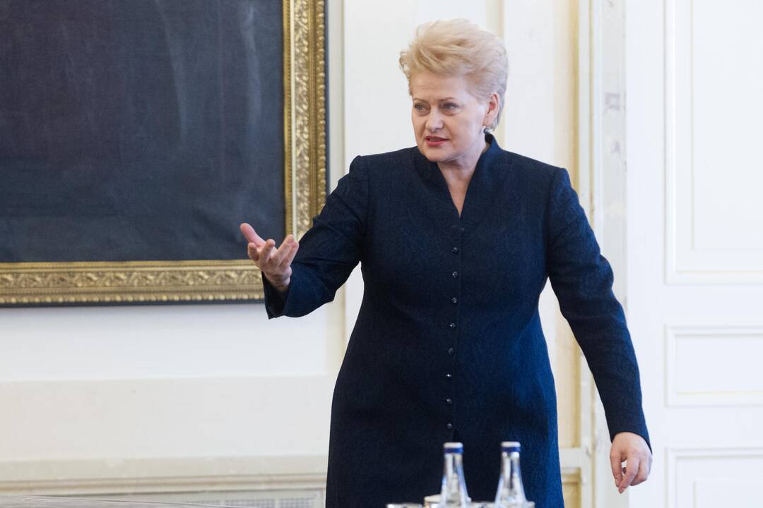 D. Grybauskaitė sutinka Norvegijos verslininkus