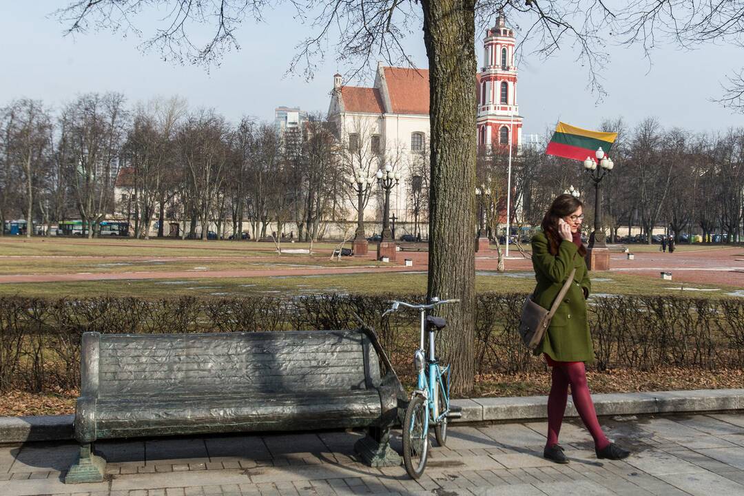 Kova lygioje vietoje: nesutariama dėl paminklo Lukiškių aikštėje