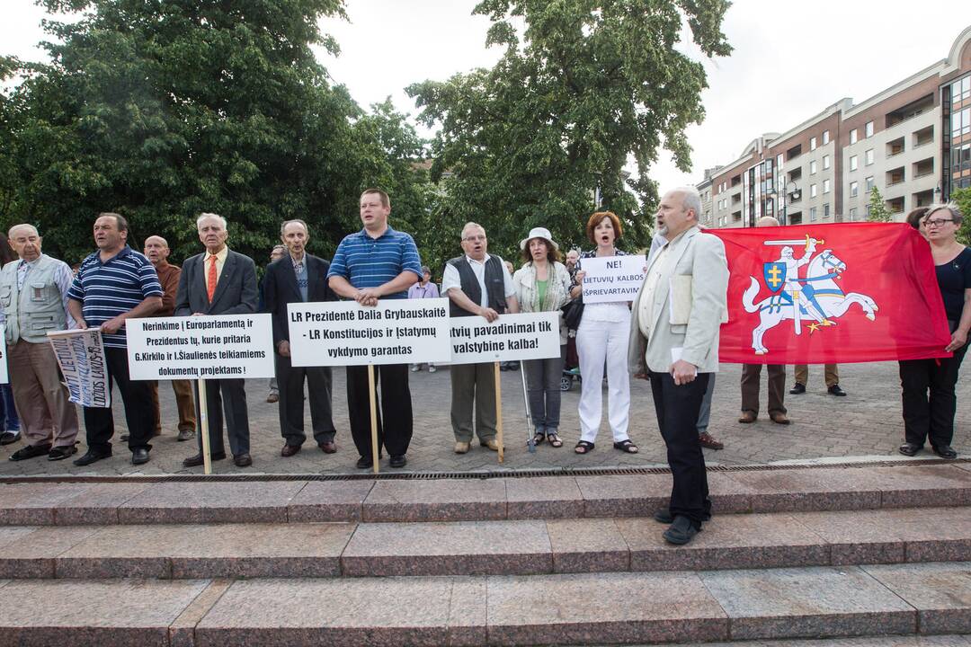 Mitingas „Šalin rankas nuo lietuvių kalbos ir nuo valstybės pamatų!“