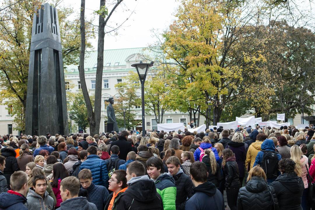 Tautinės mažumos vėl surengė protestą