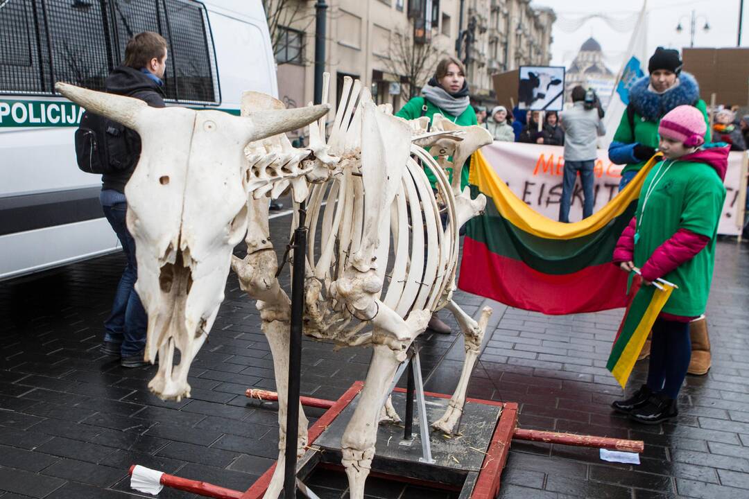 Pieno gamintojų protesto akcija